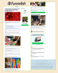 EMSense Funnel | Funnelish Template