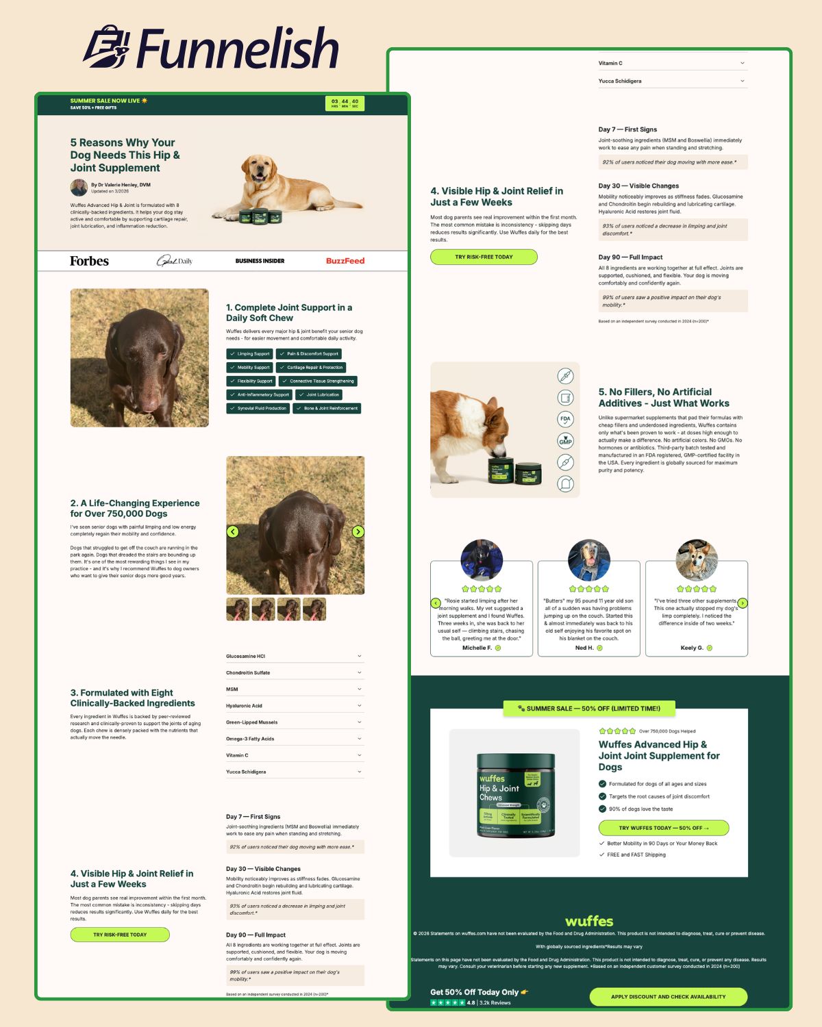 5 Reasons Listicle Page | Funnelish Template