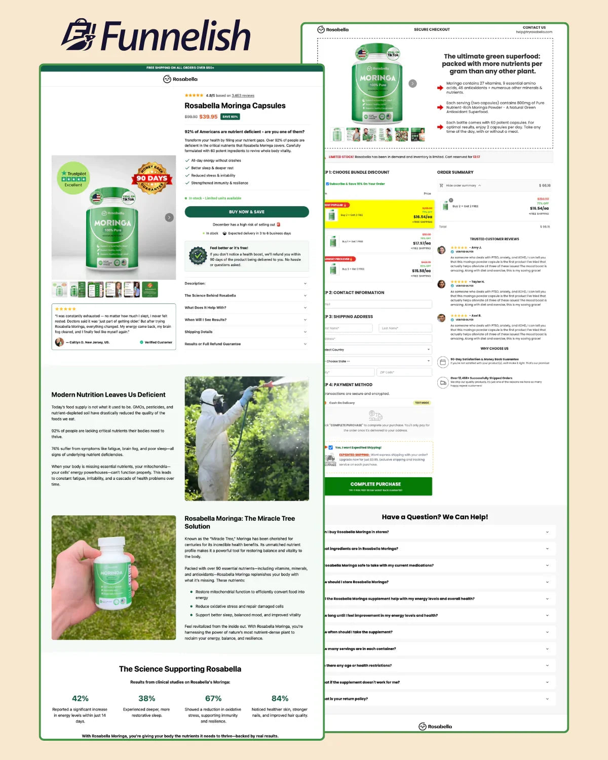 10 Most Selling Funnelish Templates Pack